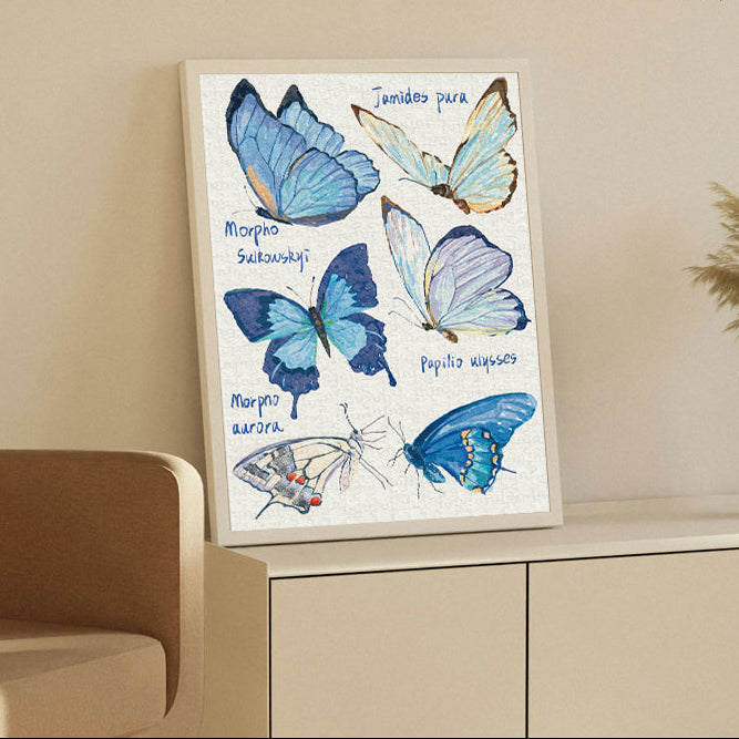 Blue Butterfly - 500P