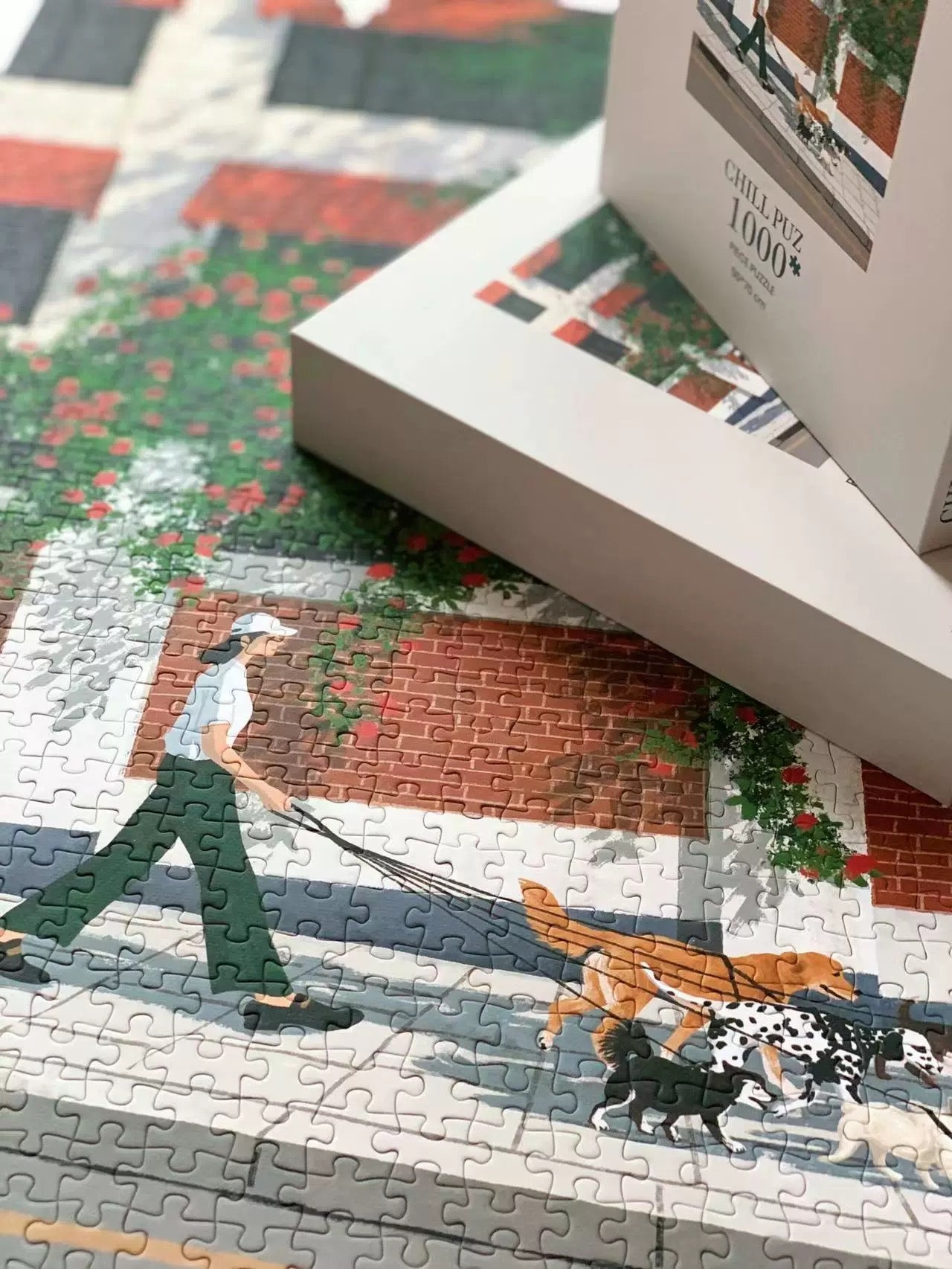 Take a Stroll - 1000pcs