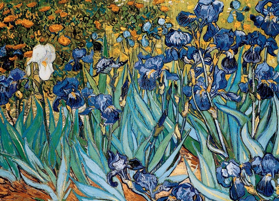 Irises 1000 Piece Puzzle