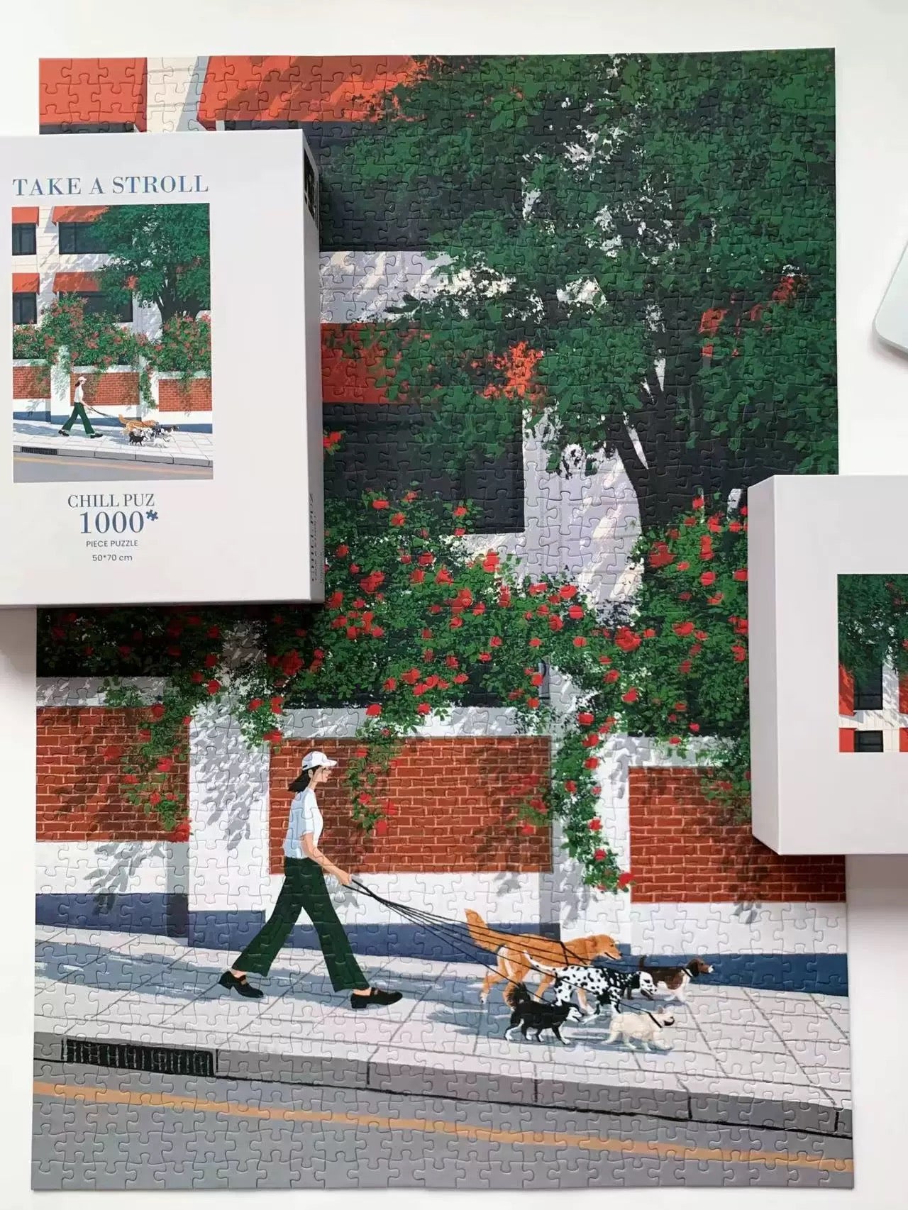 Take a Stroll - 1000pcs