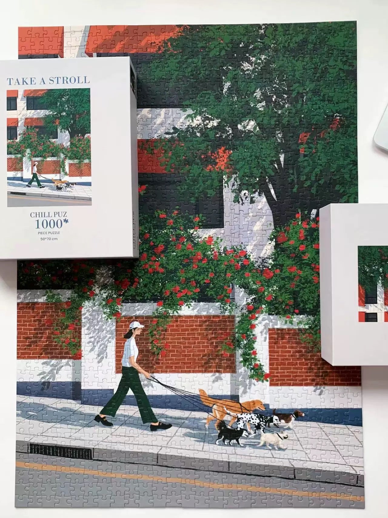 Take a Stroll - 1000pcs