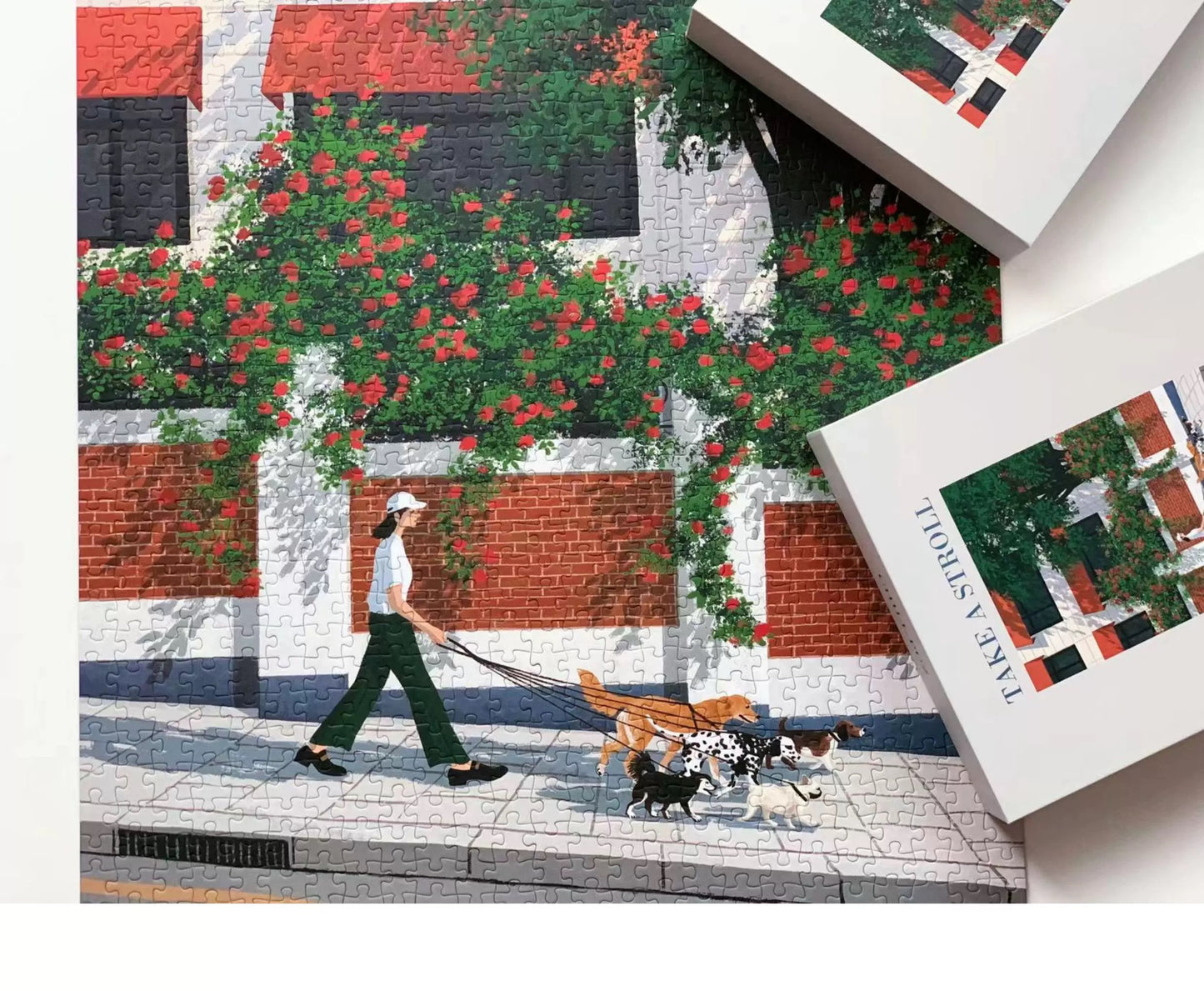 Take a Stroll - 1000pcs