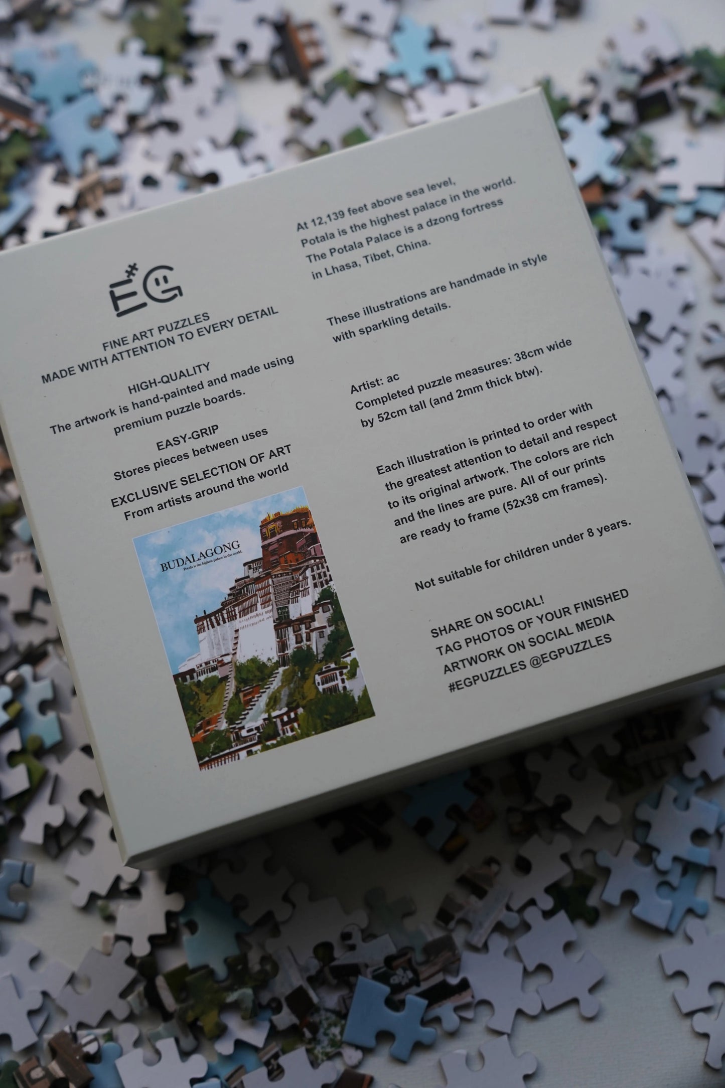 Potala (Budalagong) the highest palace in the world - 500 Pieces