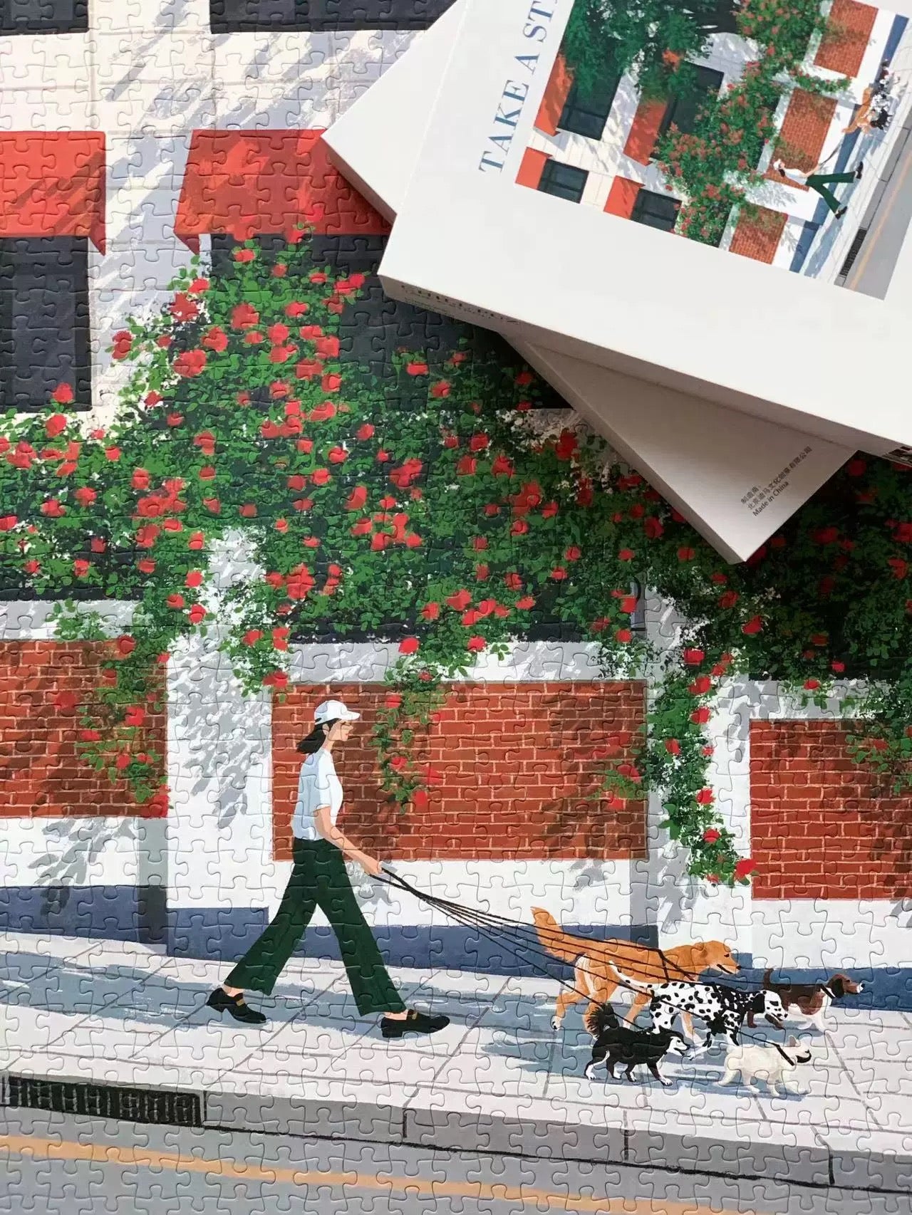 Take a Stroll - 1000pcs