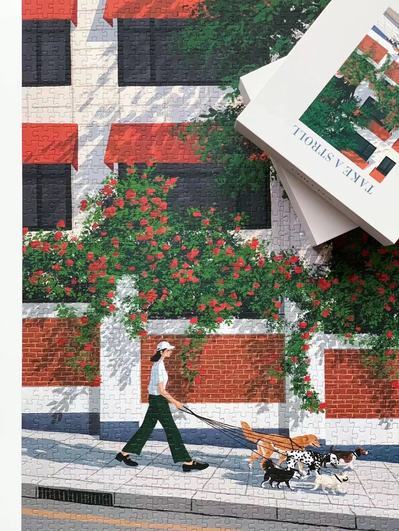 Take a Stroll - 1000pcs