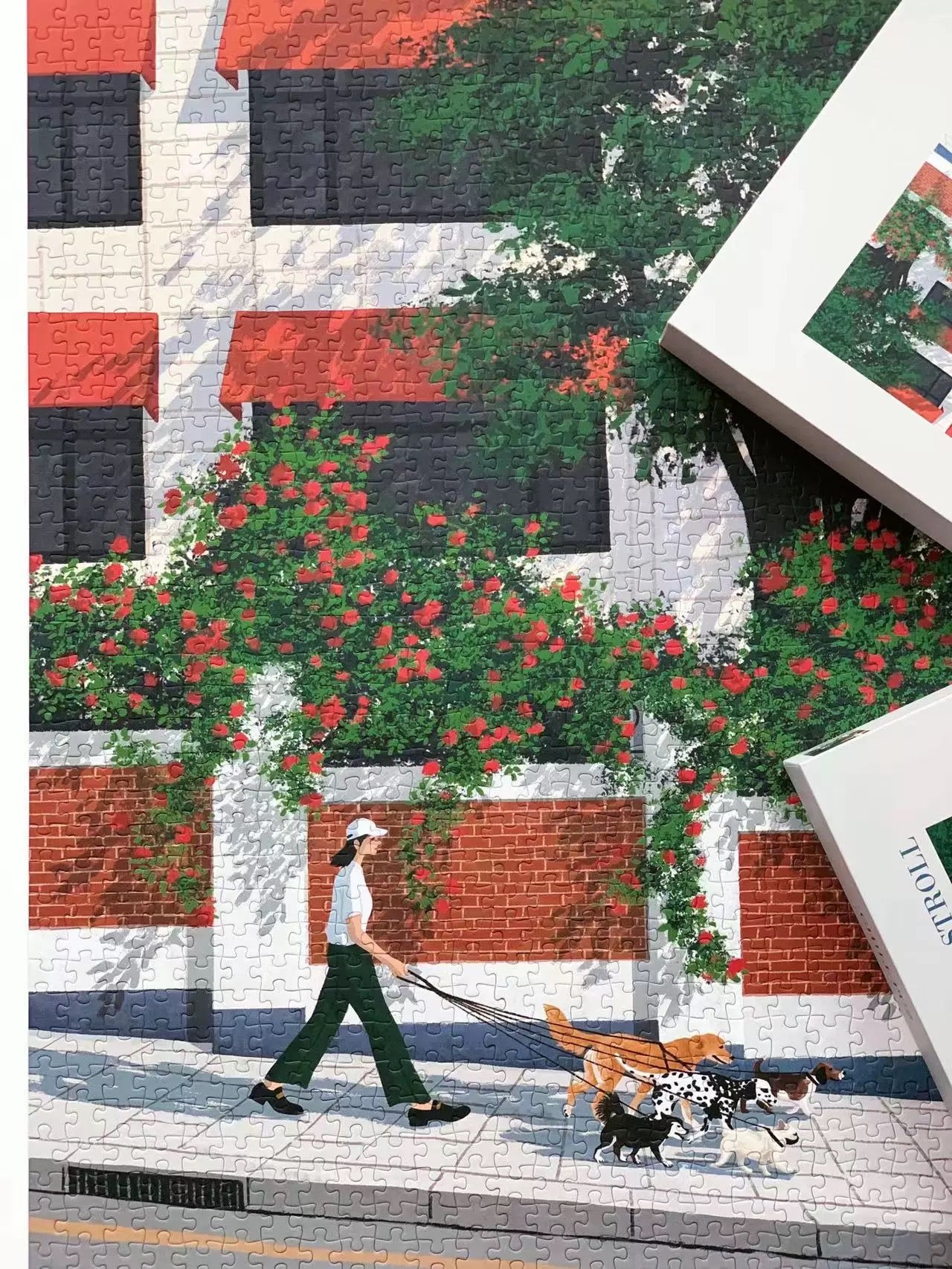 Take a Stroll - 1000pcs