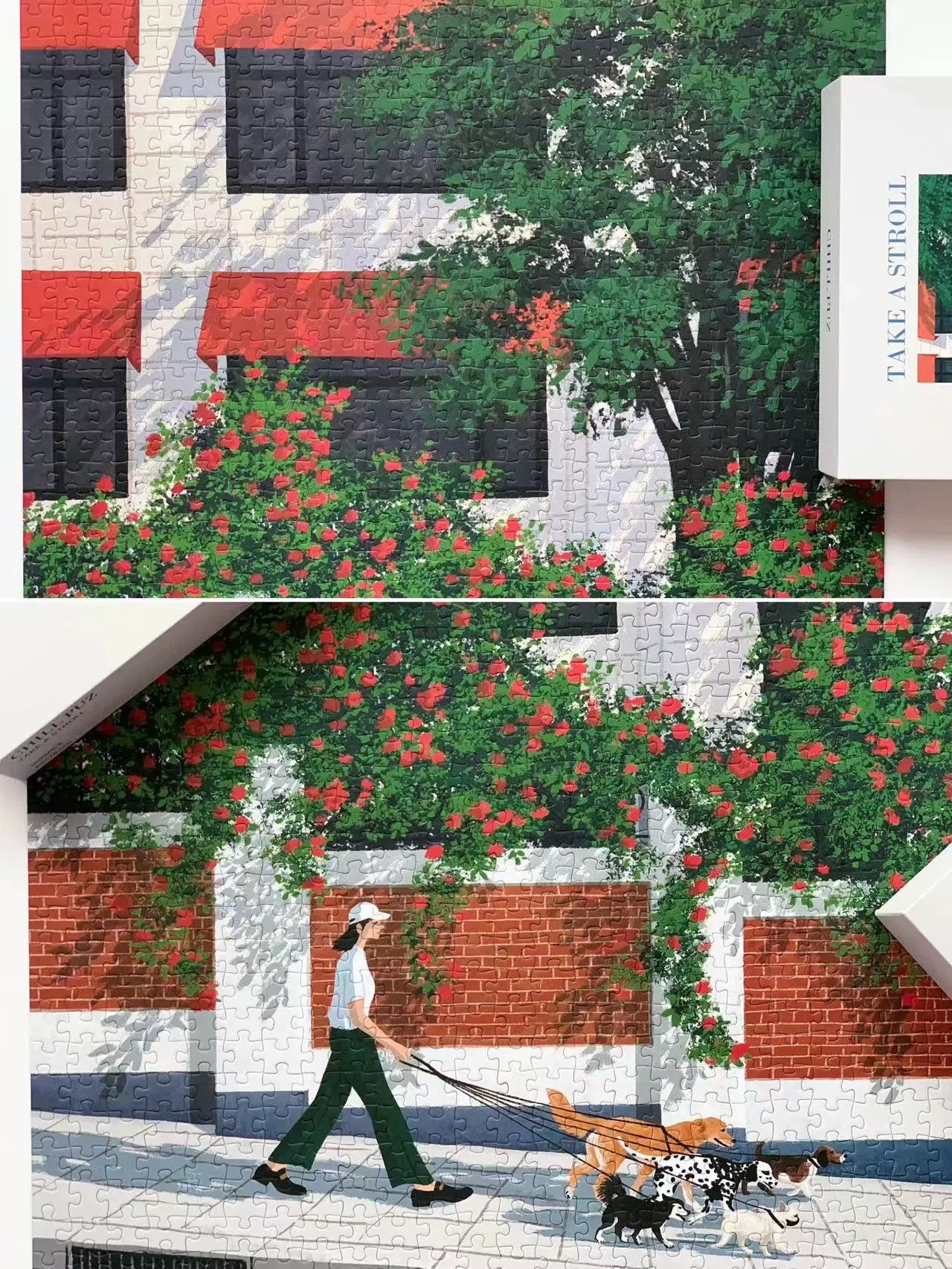 Take a Stroll - 1000pcs