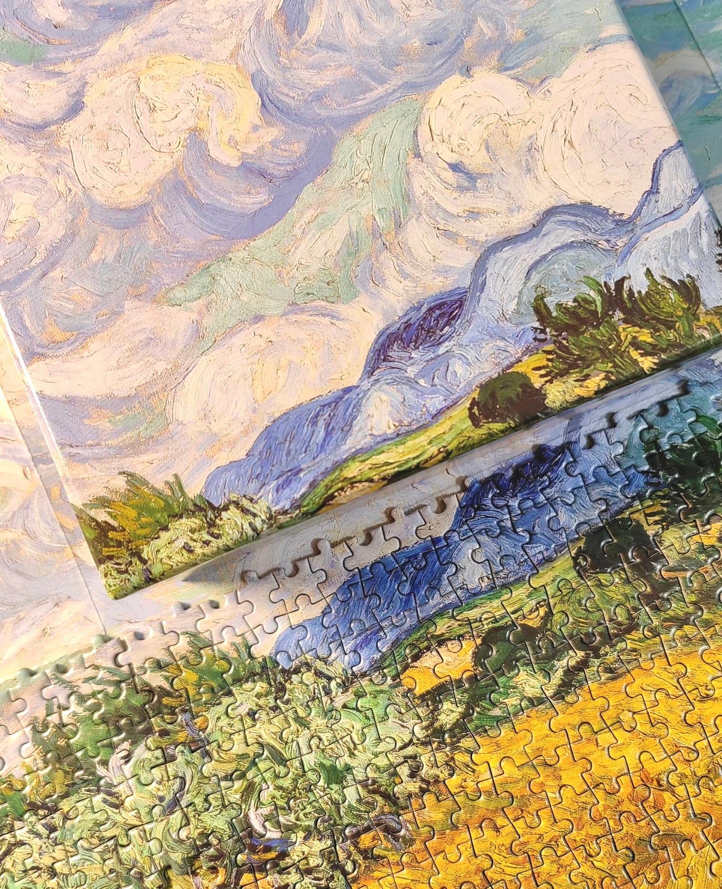 A Wheat field with Cypresses